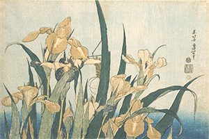 Grasshopper and Iris, c.1820s, oban size (faded)