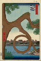 Moon Pine at Ueno, From One Hundred Views of Edo, by Hiroshige, 1857