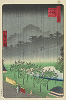 Evening View of the Paulownia Trees at Akasaka